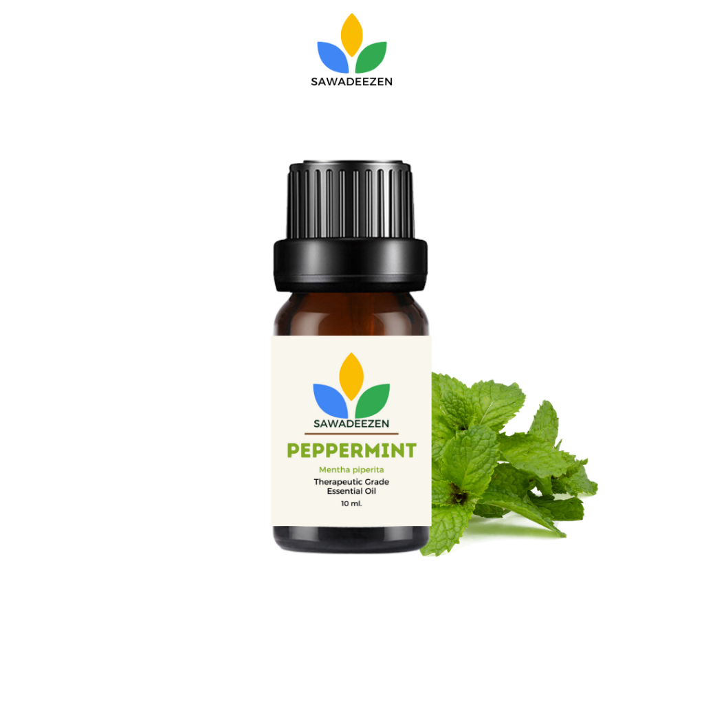 Peppermint Essential Oil 100% Pure Therapeutic Grade 10 ml น้ำมันหอมระเหย เปปเปอร์มินต์ Aroma Oil|SawadeeZen