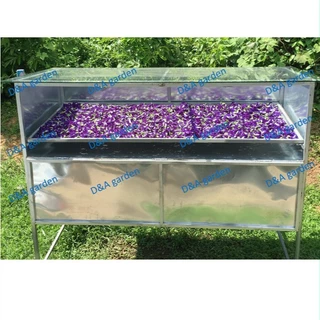 ดอกอัญชันแห้ง 500 กรัม Dried Blue Butterfly Pea Flowers 500 g