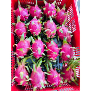 พร้อมส่ง‼️1KG แก้วมังกรสด (เนื้อแดง/เนื้อขาว)