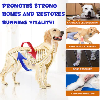 วิตามินสุนัข Oimmal Hip&Joint บำรุงข้อ บำรุงกระดูกสุนัข บำรุงข้อสุนัข บรรเทาปวด ลดอักเสบ