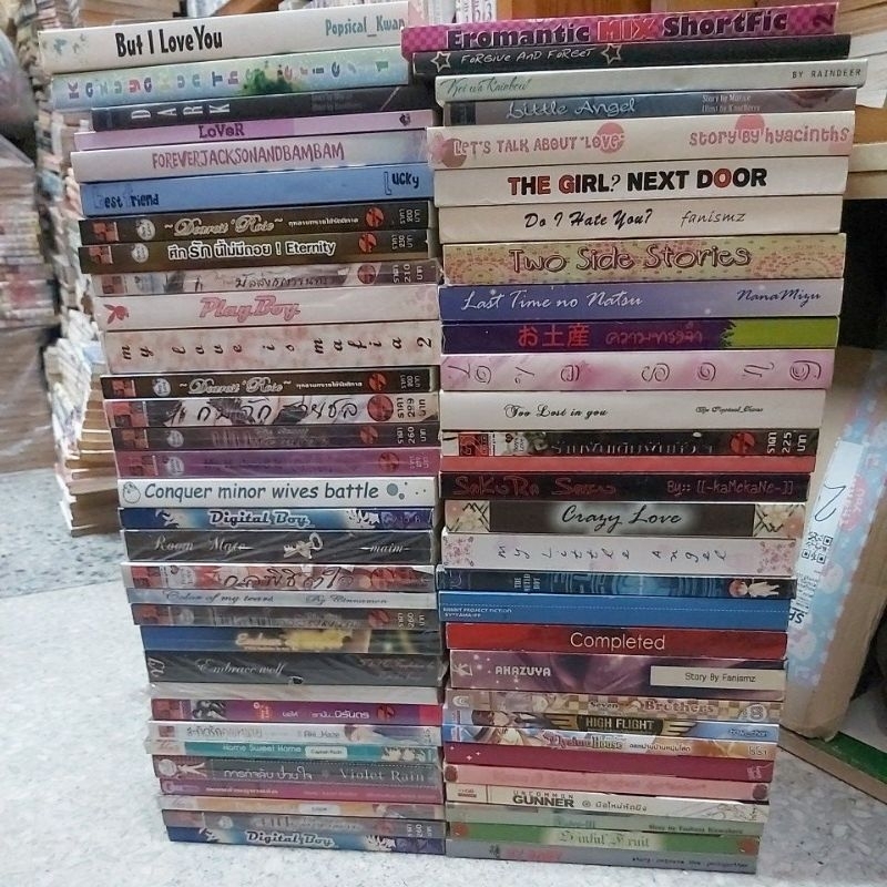 นิยายวายมือสองสภาพบ้าน(กรุณาอ่านรายละเอียดสินค้า)