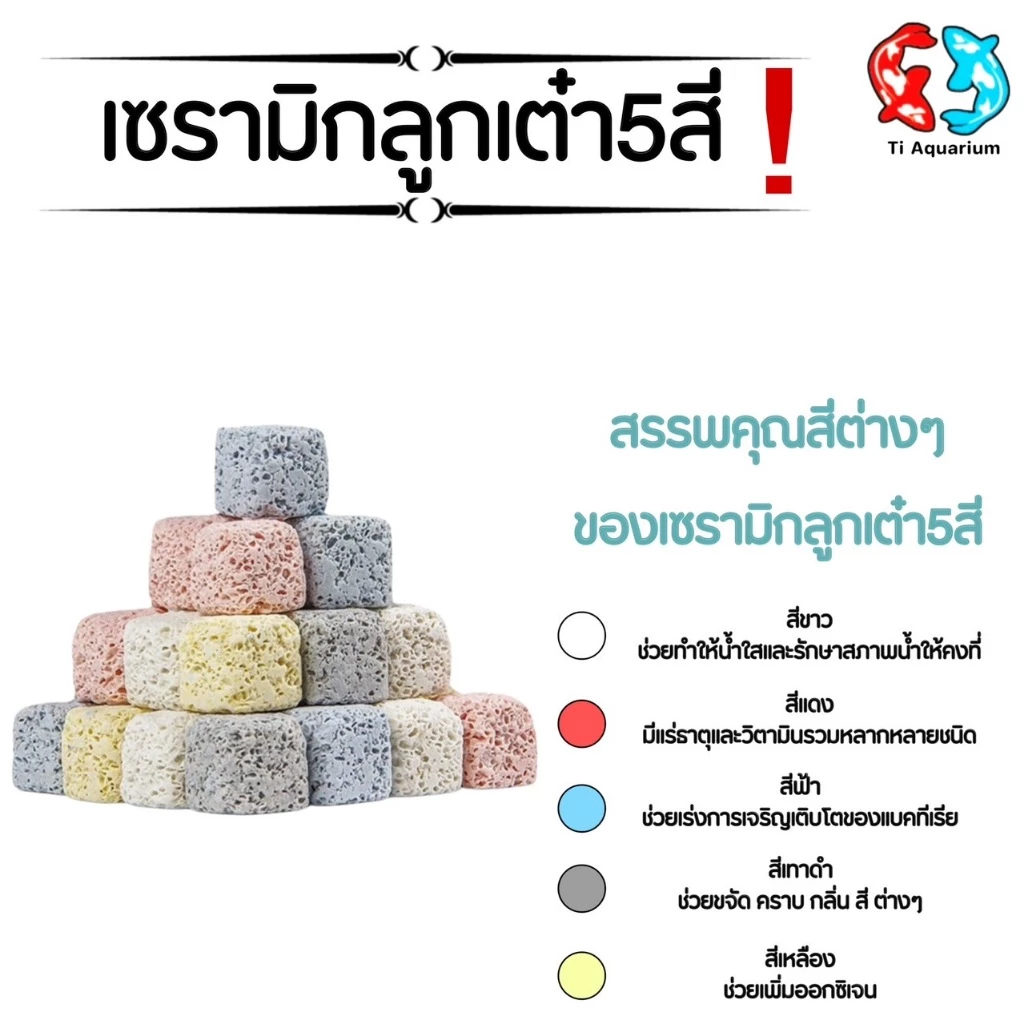 เซรามิกริงค์ สี่เหลี่ยมลูกเต๋า5สีวัสดุกรองตู้ปลา 100g(สินค้าใหม่ล่าสุด) thumbnail 4