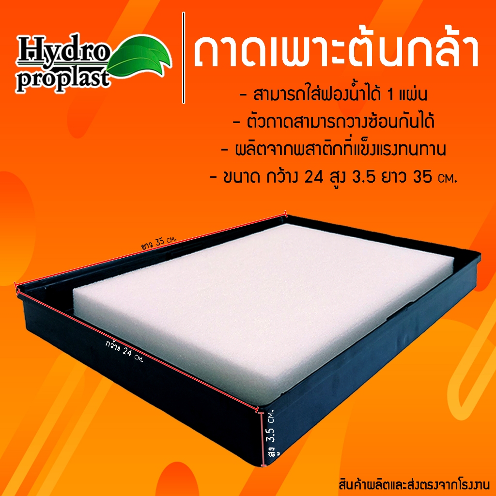 ถาดสำหรับใส่ฟองน้ำเพาะต้นกล้าผักไฮโดรโปรนิกส์ พสาติกเกรด A 3.5cm.