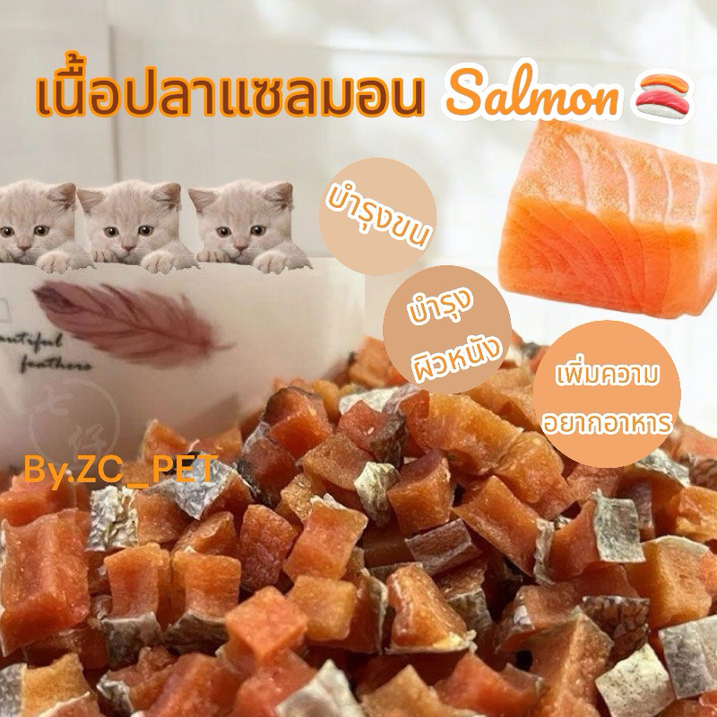 [ZC] Salmon เนื้อปลาแซลมอนหั่นเต๋า อาหาร/ขนมสำหรับสุนัข-แมวทุกช่วงวัย เนื้อปลาแซลมอนแท้ๆ ช่วยเสริมสร้างโปรตีน