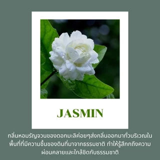 เทียนหอมแฮนด์เมด กลิ่น Jasmine (กลิ่นดอกมะลิ)