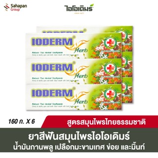 IODERM ยาสีฟันสมุนไพร ไอโอเดิมร์ เฮิร์บ 160 กรัม แพค 6 กล่อง