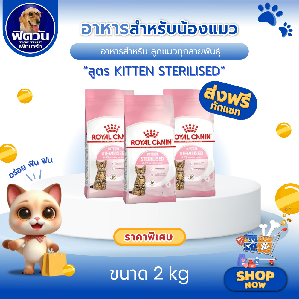 ROYAL CANIN KITTEN STERILISED อาหารเม็ดสำหรับลูกแมวทำหมัน6-12เดือนทุกสายพันธุ์ ขนาด 2 กิโลกรัม{อาหารแมวเม็ด}