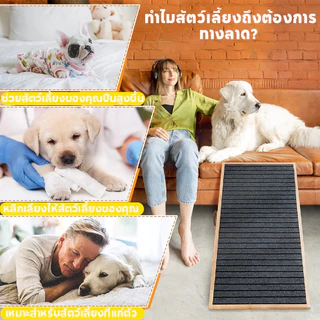 บันไดสุนัข พับได้บัน พกพาสะดวก บันไดสัตว์เลี้ยง บันไดไม้ ปรับความสูงได้ บันไดทางลาด ทนต่อการสึกหรอ