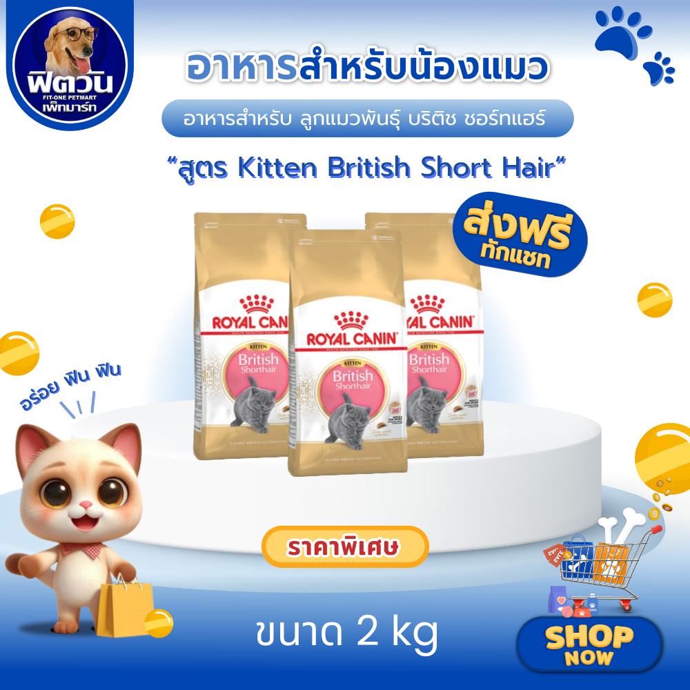 ROYAL CANIN Kitten British Short Hair อาหารเม็ดสำหรับลูกแมว4-12เดือน สายพันธุ์บริติชชอร์ตแฮร์ ขนาด 2 กิโลกรัม