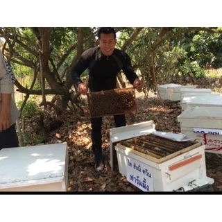 น้ำผึ้งป่าเดือน 5 ตราไทฮันนี่ (สติ๊กเกอร์คัดพิเศษ) ชุด 2 ขวด