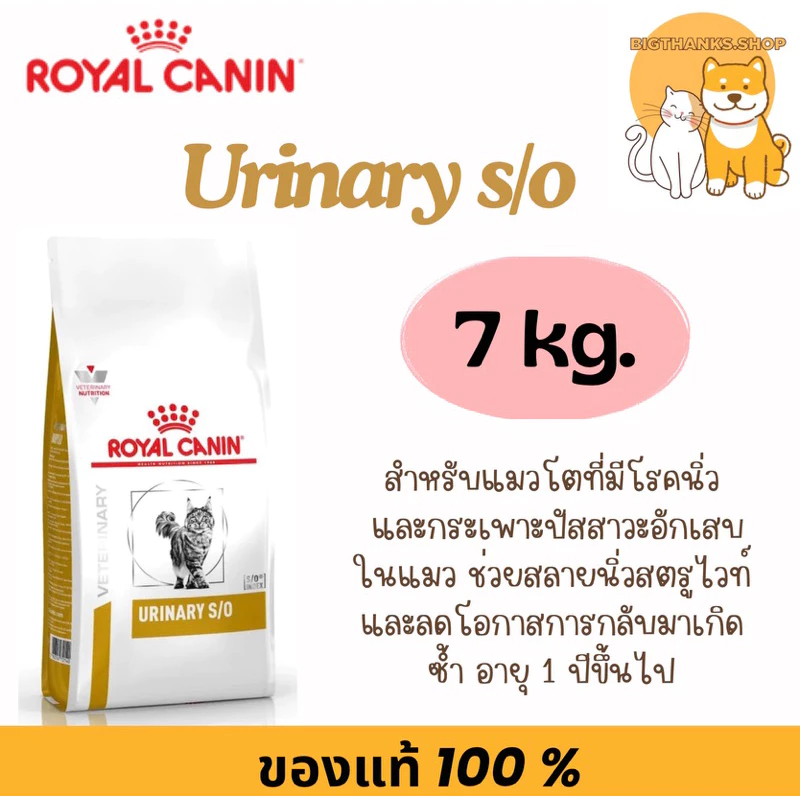 Royal canin Urinary s/o for cat 7 kg. หมดอายุ 08/27