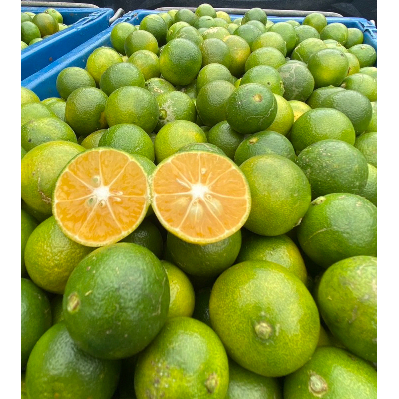 มะปี๊ด ส้มจี๊ด ส้มมะปี๊ด 1 kg ส่งจากสวนจังหวัดจันทบุรีแท้