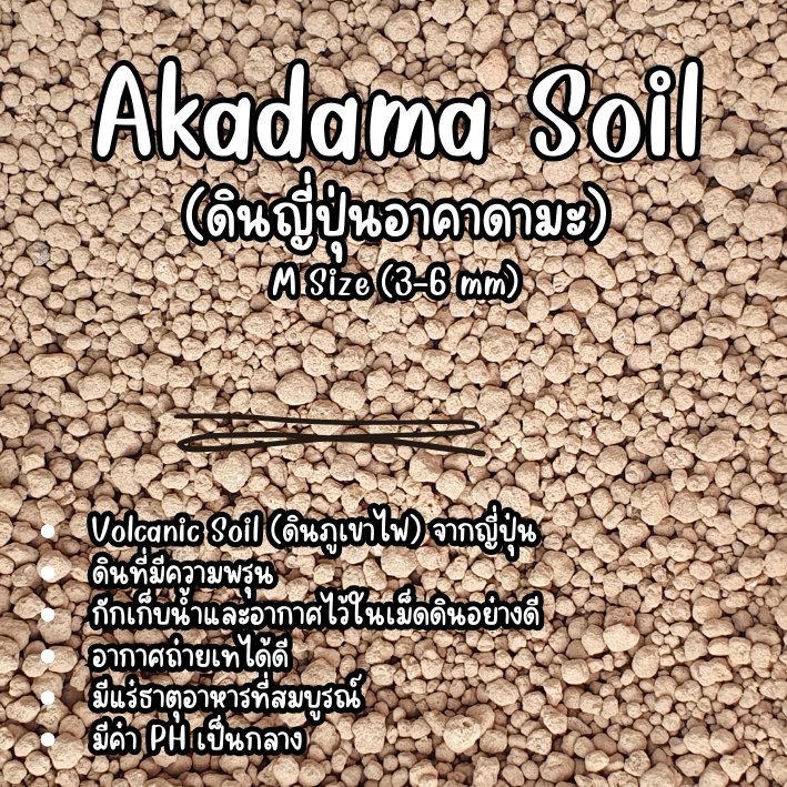 Akadama Soil (ดินญี่ปุ่นอาคาดามะ)