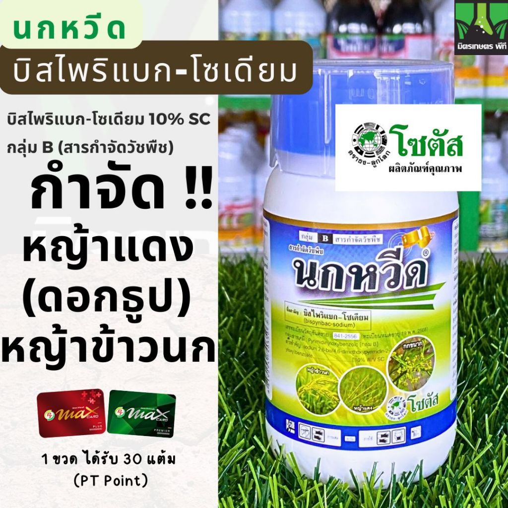 นกหวีด ขนาด 250 ซีซี บิสไพริแบก-โซเดียม 10% SC กำจัดหญ้าในนาข้าว ทั้งใบแคบ ใบกว้าง และกก สูตรเข้มข้น เก่งหญ้าข้าวนก หญ้า