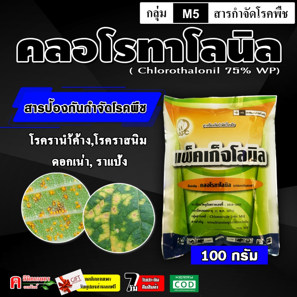 คลอโรทาโลนิล75% ( 100g ) ใช้ป้องกันกำจัดโรคพืช เชื้อรา โรคใบจุด โรคราน้ำค้าง โรคราสนิม โรคกุ้งแห้ง