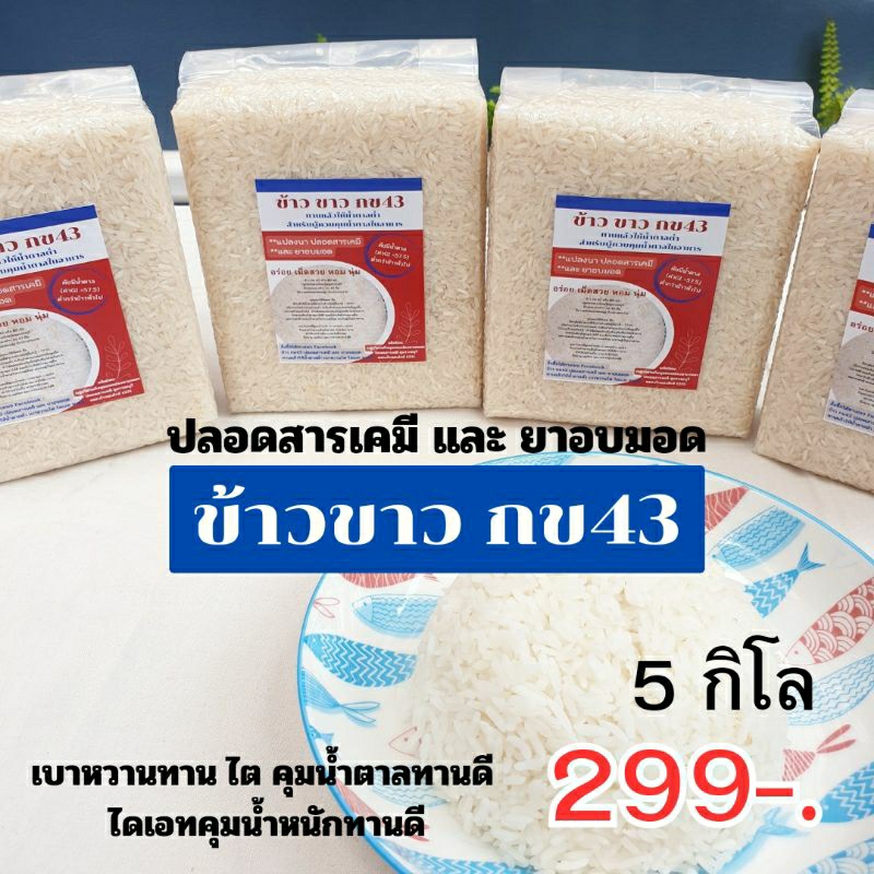 ข้าวขาวกข43 (ดัชนีน้ำตาลต่ำ) สุพรรณบุรี 5กิโล ** ปลอดสารเคมี **และ ยาอบมอด(แพ็คสูญญากาศถุงละ1กิโล)