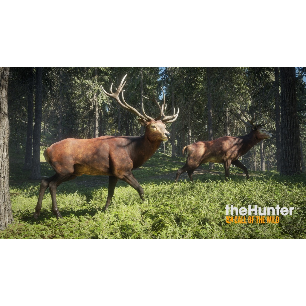 theHunter Call of the Wild เกม USB