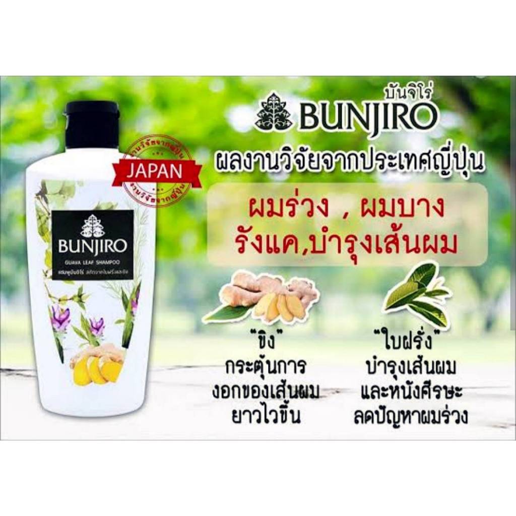 แชมพู บันจิโร่ กวาวา ลีฟ แชมพูใบฝรั่งและขิง ปริมาณสุทธิ 250 มล./BUNJIRO GUAVA LEAF SHAMPOO Net 250 m