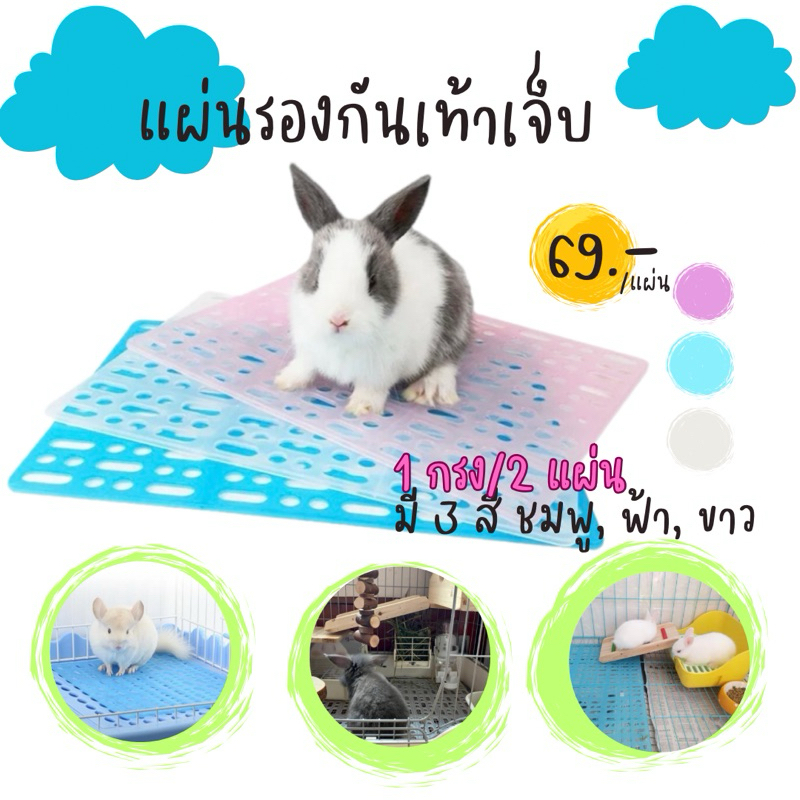 แผ่นรองกันเจ็บเท้าแกสบี้กระต่าย