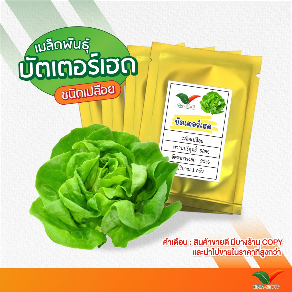 ส่งฟรี!! เมล็ดพันธุ์ผัก บัตเตอร์เฮด ชนิดเปลือย By Hydroponicgroup