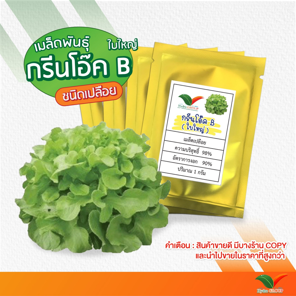 ส่งฟรี!! เมล็ดพันธุ์ผัก กรีนโอ๊คใบใหญ่ ชนิดเปลือย By Hydroponicgroup