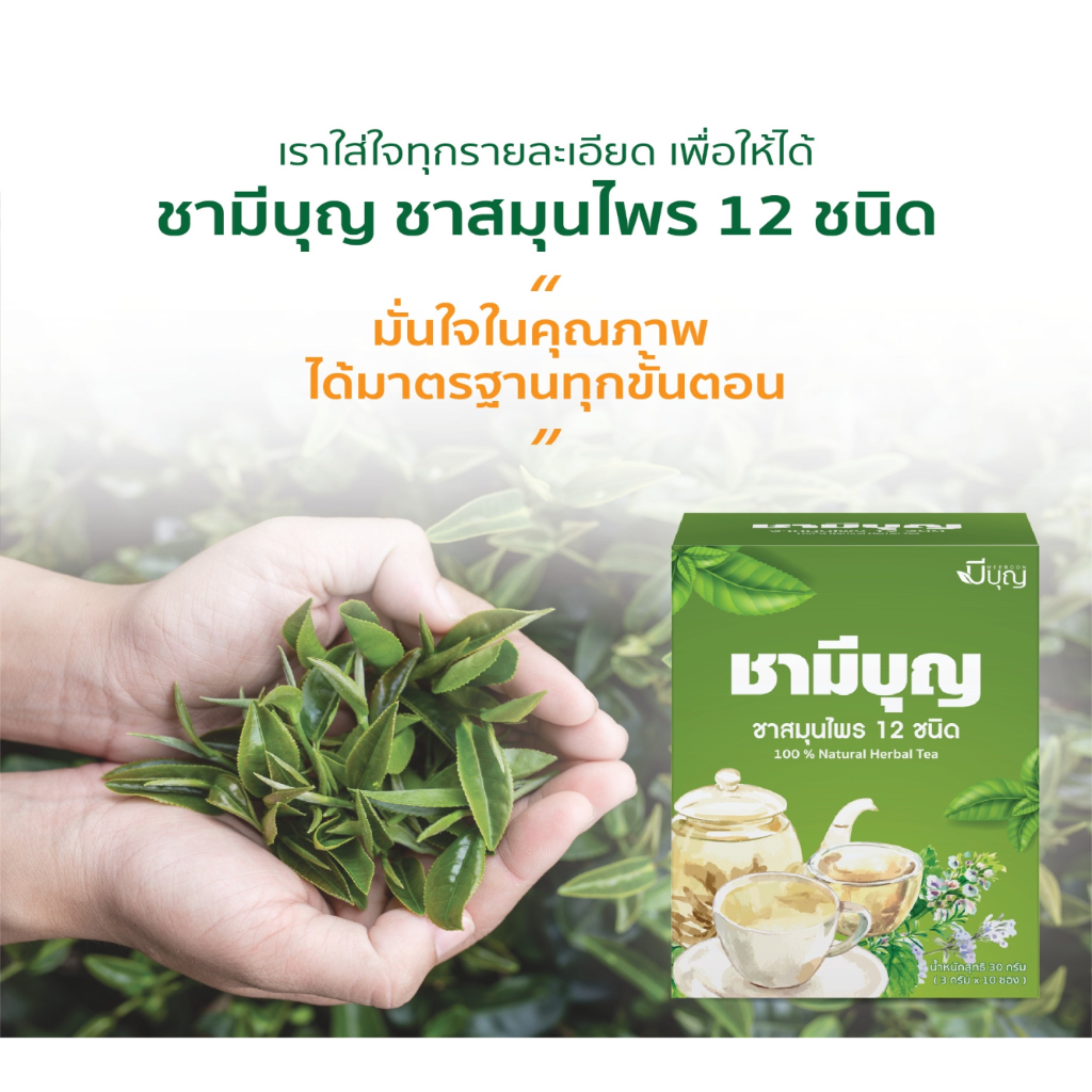 ชาสมุนไพร ลด น้ำตาล นอนไม่หลับ สมุนไพร12 ชนิด ตรามีบุญ สมุนไพรชงดื่ม ชาชง ชา เครื่องดื่มชา ชาซอง ไม่มีน้ำตาล ราคา ถูกที่สุด ดีลบีเคเค แกลเลอรีภาพที่ 5