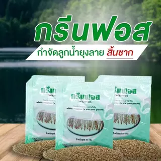 ทรายกำจัดลูกน้ำ ทรายกรีนฟอส บรรจุ 50g. ปลอดภัย ใช้ง่าย