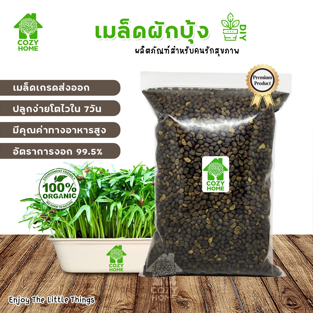 เมล็ดต้นอ่อนผักบุ้ง เมล็ดพันธุ์ผักออแกร์นิก Microgreen เมล็ดสำหรับเพาะต้นอ่อนพร้อมปลูก เมล็ดผักบุ้ง