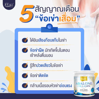 [Abalone Collagen] โปร 3 กระปุกใหญ่ 210g. คอลลาเจนหอยเป๋าฮื้อ ช่วยบำรุงกระดูก ข้อเข่า เสริมคอลลาเจน