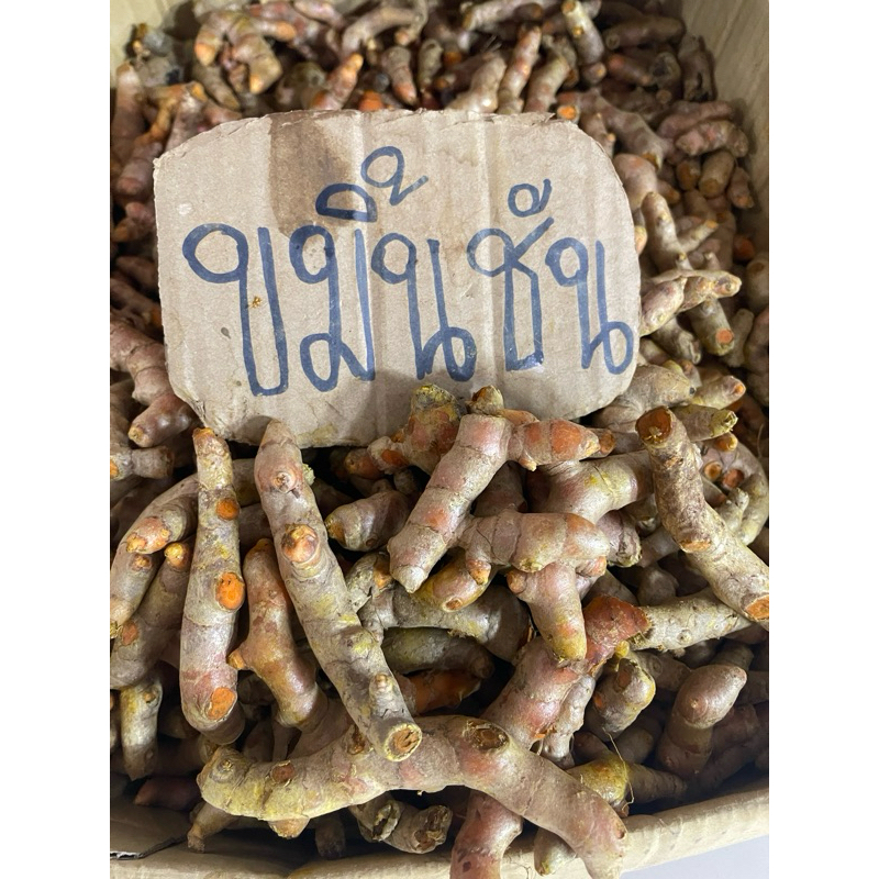 ขมิ้นชัน ขมิ้นเหลือง คละไซส์