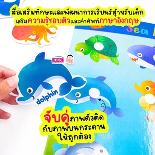 กระดาน แปะ-ดึง ตีนตุ๊กแก Pull & Stick 10 หมวด (ซื้อแยกหมวดได้) ของเล่นเด็ก เสริมทักษะและพัฒนาการ