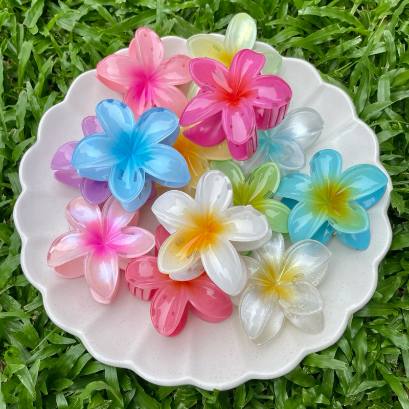 Hiibiiscus Flower (Cha-Ba) Hair Claw : กิ๊บหนีบผมดอกชบา ✨🌺 (พร้อมส่ง)