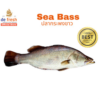 Sale!! ปลากระพง สด บริการตัดแต่ง ฟรี!! (คัดพิเศษ) #ปลากระพง …