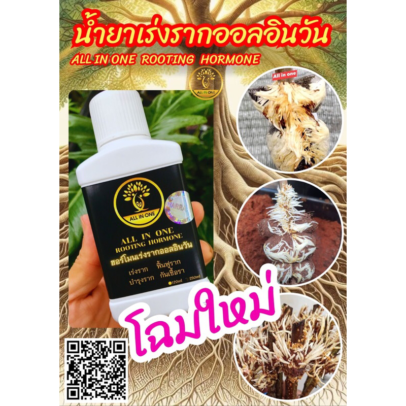 น้ำยาเร่งรากเทพออลอินวัน