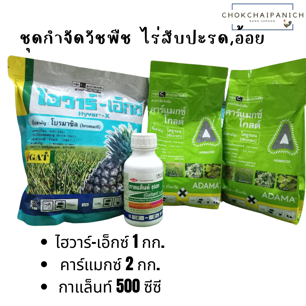 ชุดฆ่าหญ้า+ยาคุม ไร่สับปะรด,อ้อย 1000ลิตร สำเร็จ (2)