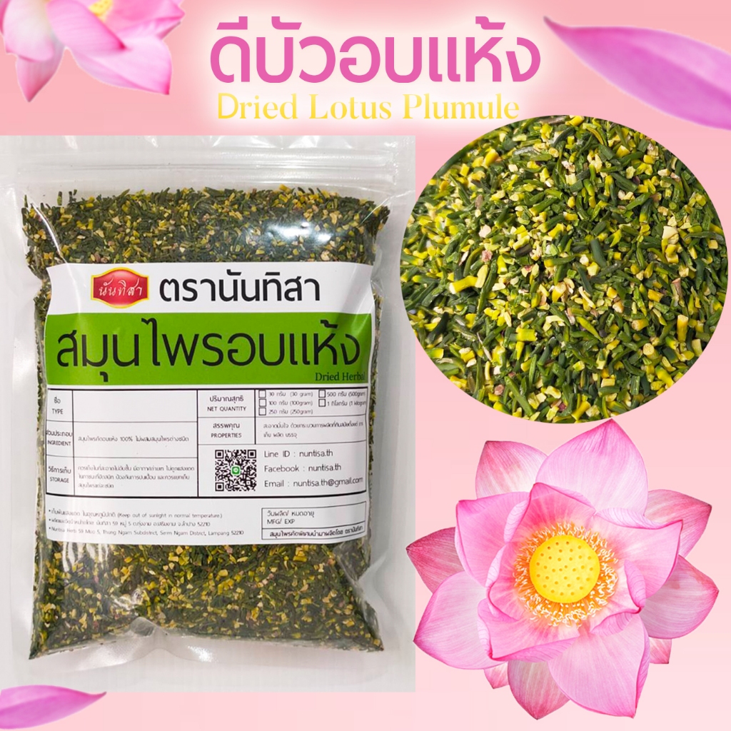 ดีบัวอบแห้ง ต้นอ่อนในเมล็ดบัว (ฺDried Lotus Plumule) ตรานันทิสา สมุนไพรอบแห้ง ชาดีบัว