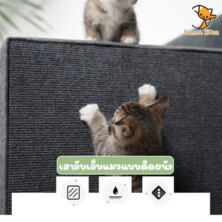 🐱พรมลับเล็บแมว ป้องกันรอยขีดข่วน มีกาวในตัว แผ่นลับเล็บแมว สำหรับรองเฟอร์นิเจอร์ ตัดตามที่คุณต้องการ สิ่งประดิษฐ์ตลกๆ🐱