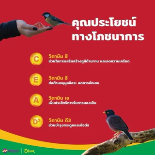อาหารนกเอี้ยง นกขุนทอง โปรตีน19% โอลิเวอร์ 1kg.