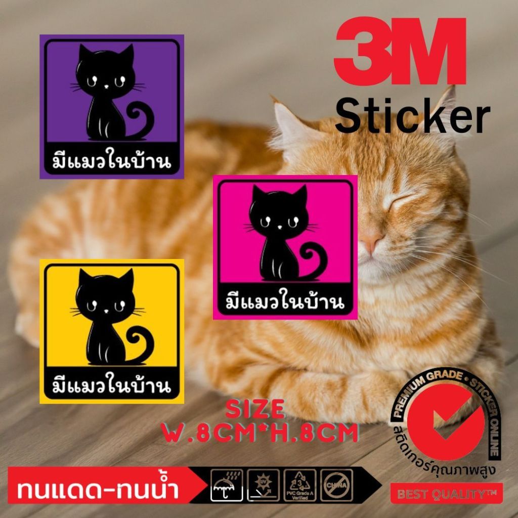 (485)มีแมวในบ้าน สติีกเกอร์ 3M Sticker แมว cat in house ป้าย สีสด หมึกกันน้ำ ทนน้ำ ทนแดด