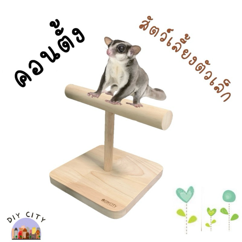 คอนตั้ง สัตว์เลี้ยงตัวเล็ก ที่เกาะ ตกแต่งกรง ของเล่น คอนยืนสำหรับนกแก้ว คอนสัตว์เล็ก ที่ยืน ทำจากไม้ยางพารา