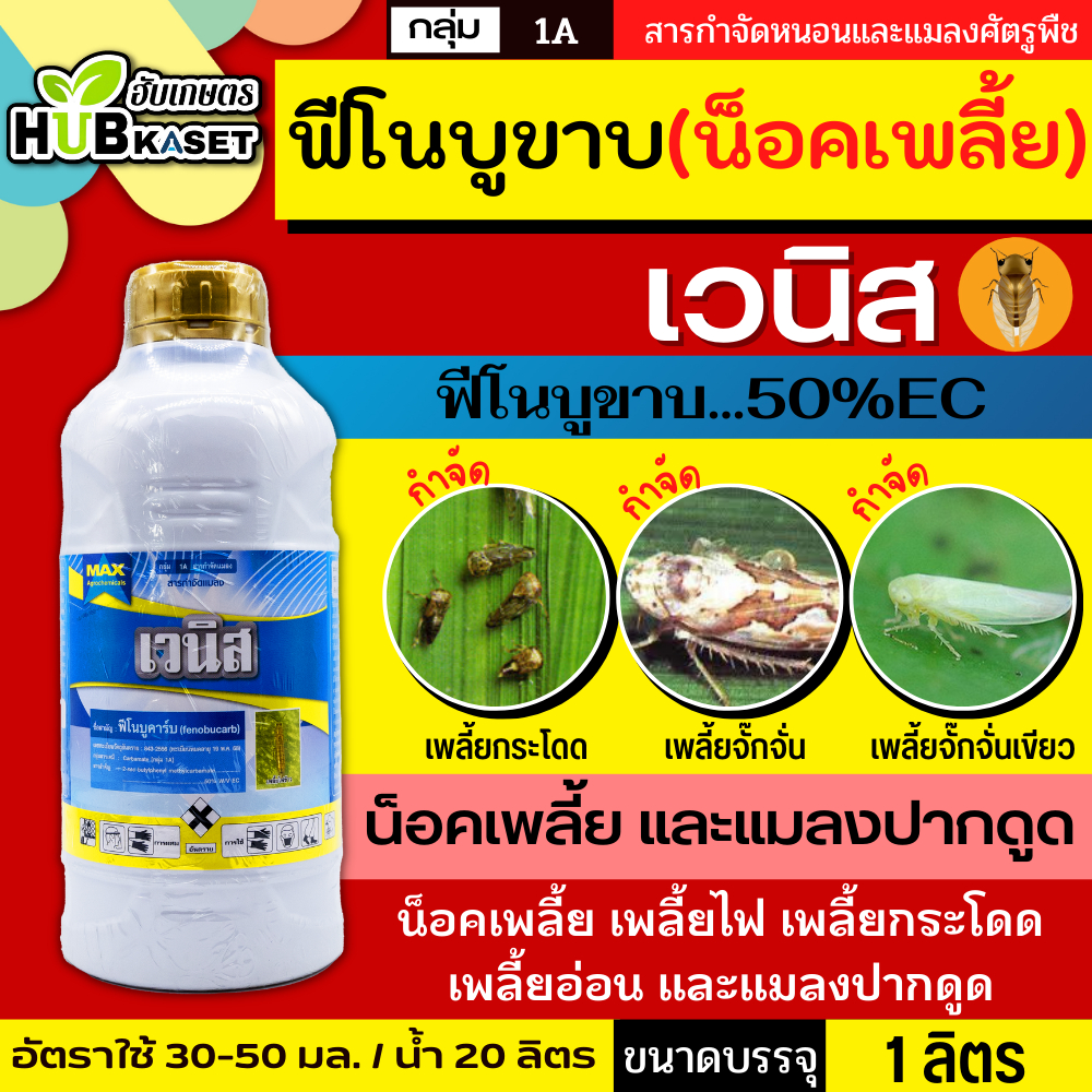 เวนิส 1ลิตร (ฟิโนบูคาร์บ) เพลี้ยกระโดด เพลี้ยไฟ เพลี้ยไก่แจ้ แมลงหวี่ขาว มวนเขียว มวนลำไย แมลงสิง ด้วง
