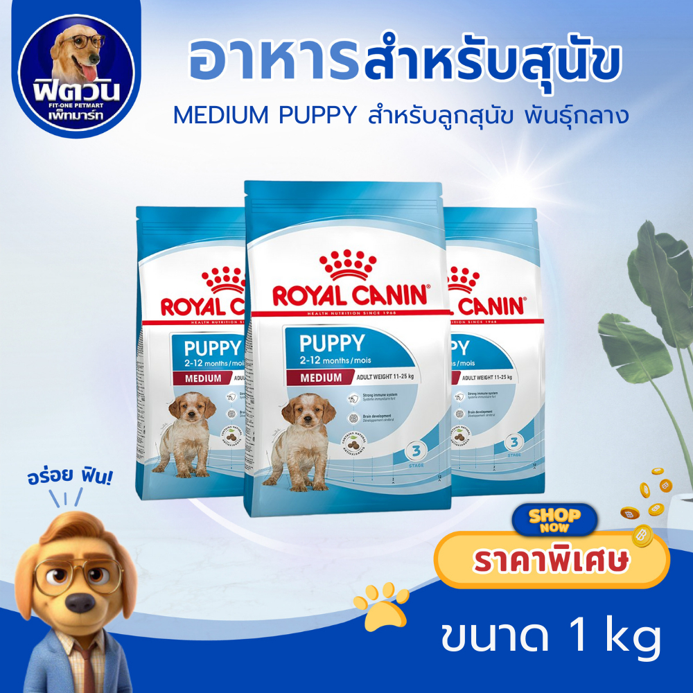 Royal Canin Medium Puppy 1kg อาหารเม็ดลูกสุนัข พันธุ์กลาง อายุ 2-12 เดือน (Dry Dog Food, โรยัล คานิน)