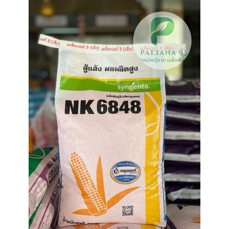 เมล็ดพันธุ์ข้าวโพด NK 6848 (3.5หุน) *ขนาด 10 กก. ทนแล้ง ปลูกถี่ได้ ลำต้นแข็งแรง ปรับตัวได้ดีกับทุกสภ