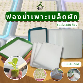 ฟองน้ำสำหรับเพาะเมล็ด แบบละเอียด (1 แผ่นมี 96 หลุม) สำหรับปลูกผักไฮโดรโปนิกส์ - เกษตรกรรมยั่งยืน