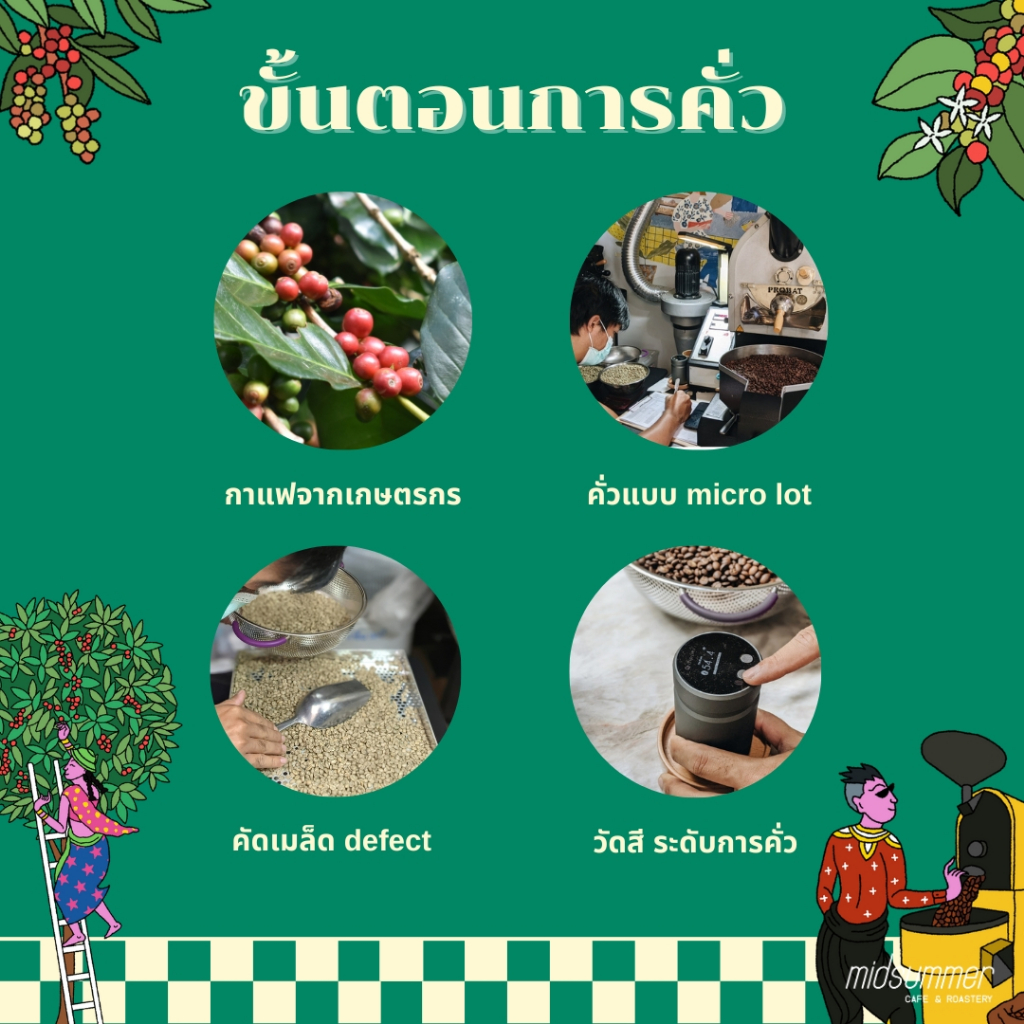 ขายดี คั่วกลางเข้ม กาแฟเบลน เมล็ดกาแฟ Arabica Blend ไทย + Brazil Fazenda  รสชาติถั่ว ช็อกโกแล็ต | Midsummer - รูปที่ 2