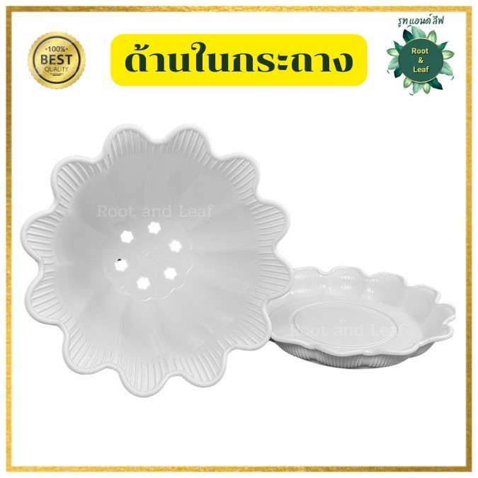 กระถางบิวตี้ ขนาด 12 นิ้ว กระถางพร้อมจานรอง พลาสติกหนา แข็งแรง ทนทาน น้ำหนักเบา - รูปที่ 2