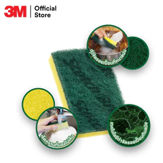 3M™ Scotch-Brite สก๊อตช์-ไบรต์® ใยขัดพร้อมฟองน้ำ, 3x4 นิ้ว, แพ็ค 31 ชิ้น