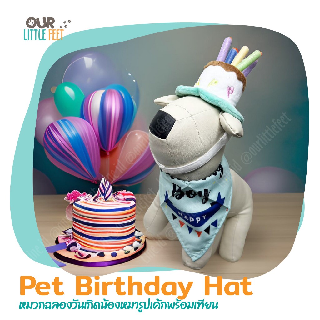 Birthday Party Hat หมวกวันเกิดน้องหมา/แมว รูปเค้กพร้อมเทียนโฟม