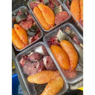 ปลาดุกทะเลติดไข่ มีหลายไซส์ค่ะ