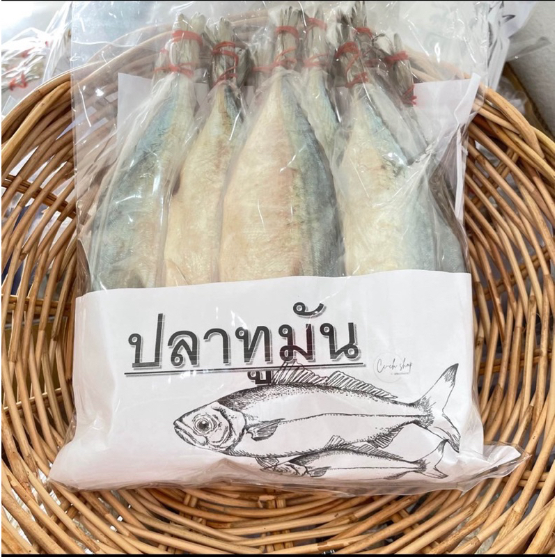 ปลาทูมัน แม่กลอง ขนาด1กิโล11-13ตัว 💥พร้อมส่ง💥